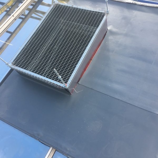 Photo 06 10 2016 12 22 46