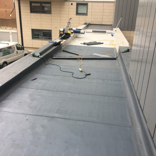 Photo 25 09 2017 13 19 23