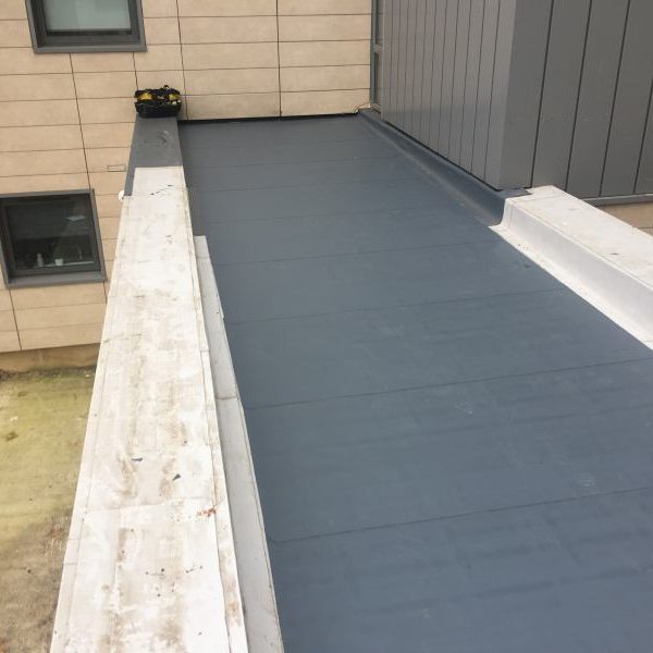 Photo 25 09 2017 15 20 37