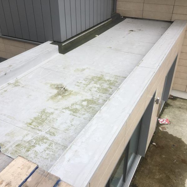 Photo 26 07 2017 10 25 03