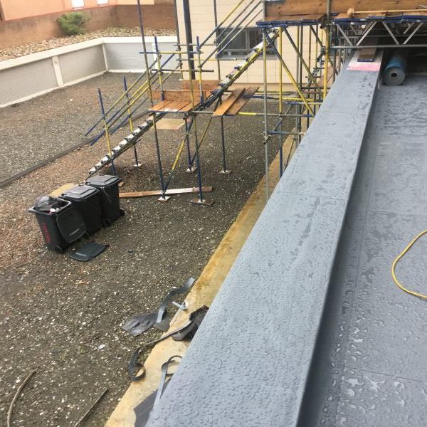 Photo 27 07 2017 14 20 44