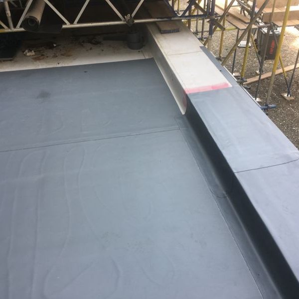 Photo 28 07 2017 12 22 36