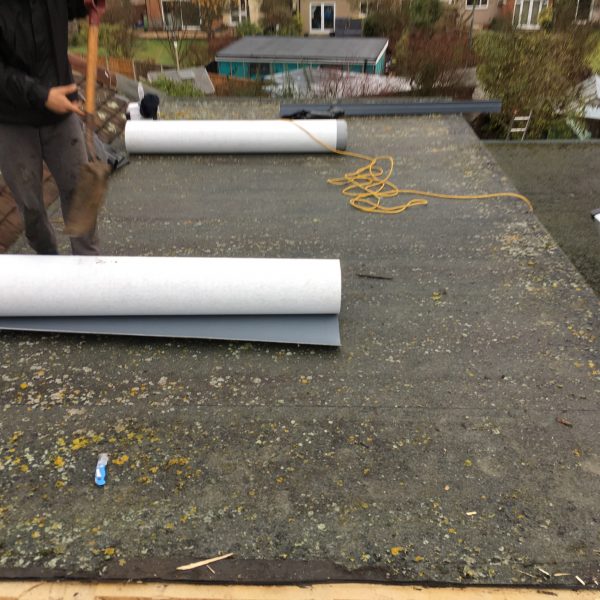 Photo 12 12 2016 10 03 56