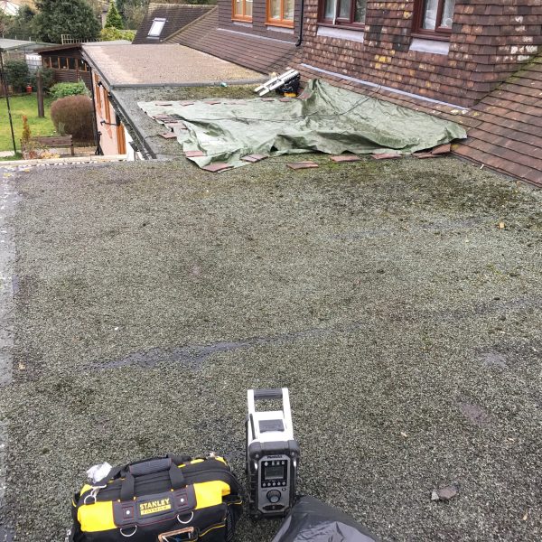 Photo 12 12 2016 13 14 46