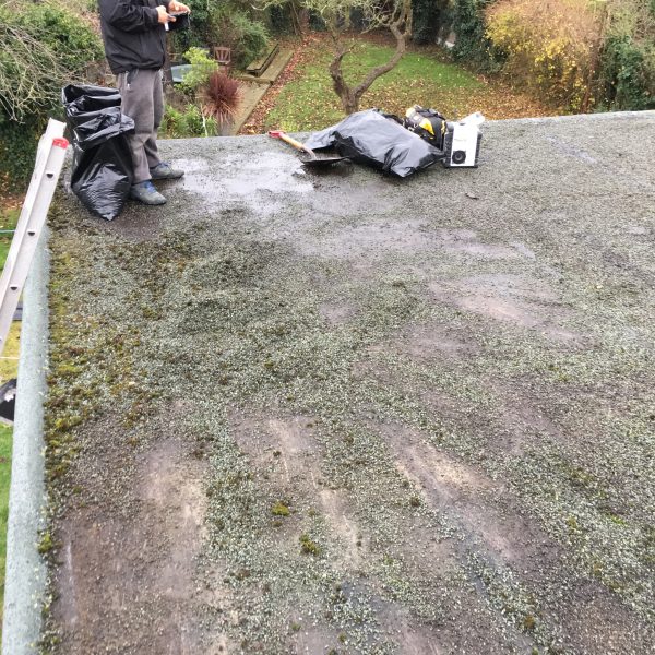 Photo 12 12 2016 13 14 54