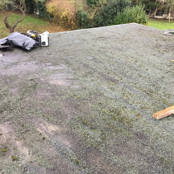 Photo 12 12 2016 13 14 56