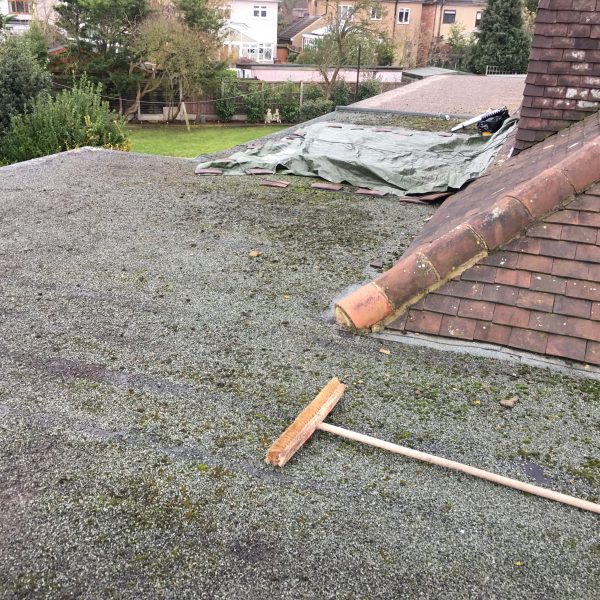 Photo 12 12 2016 13 14 58