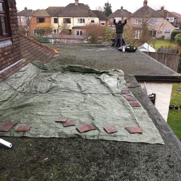 Photo 12 12 2016 13 15 10