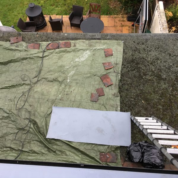 Photo 12 12 2016 13 16 07