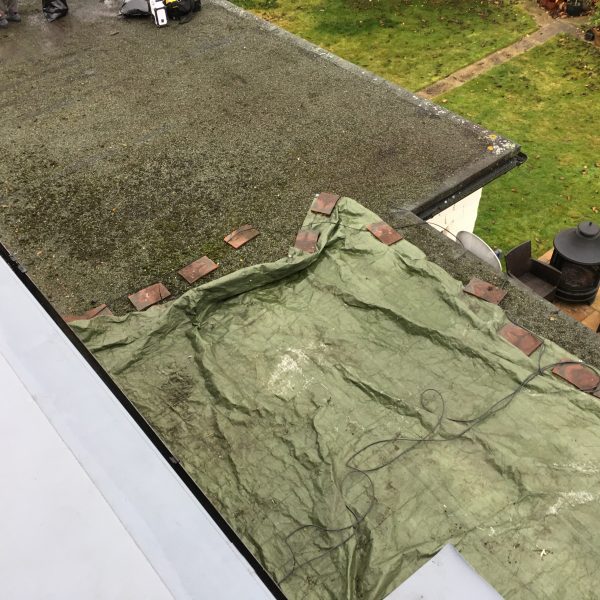 Photo 12 12 2016 13 16 09