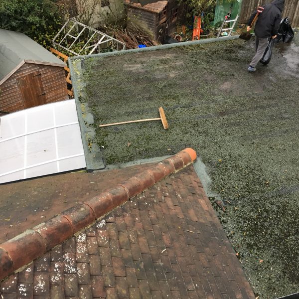 Photo 12 12 2016 13 16 13