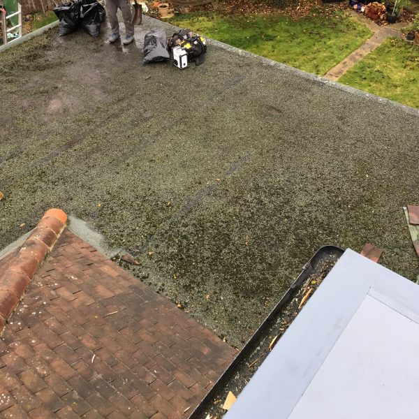 Photo 12 12 2016 13 16 16