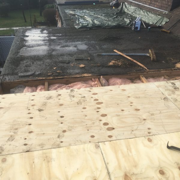 Photo 14 12 2016 11 34 24