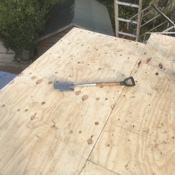 Photo 14 12 2016 11 34 35