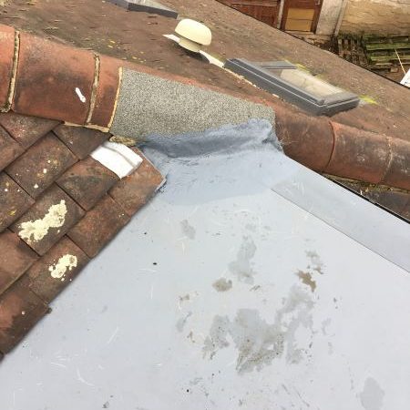 Photo 19 12 2016 12 09 54 e1485947674105