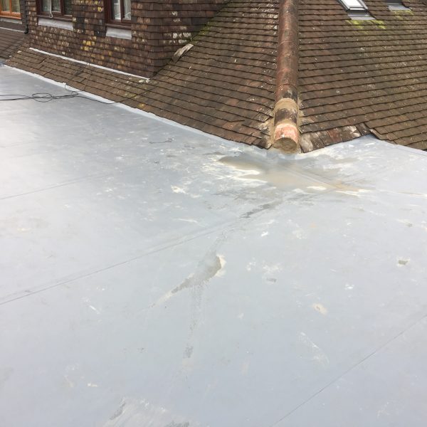 Photo 19 12 2016 12 10 19