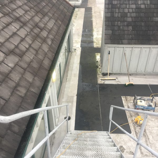 Photo 26 01 2017 09 36 16