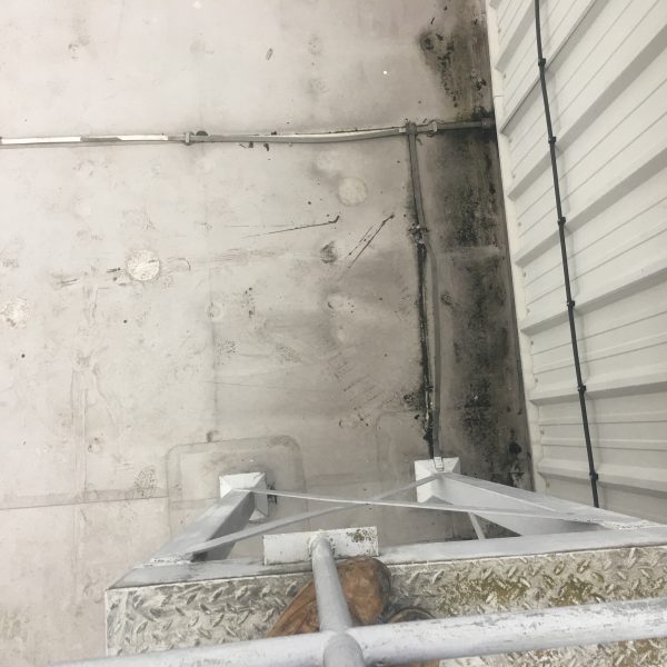 Photo 26 01 2017 09 36 18