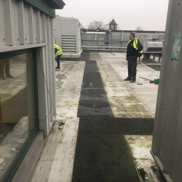 Photo 26 01 2017 09 36 32