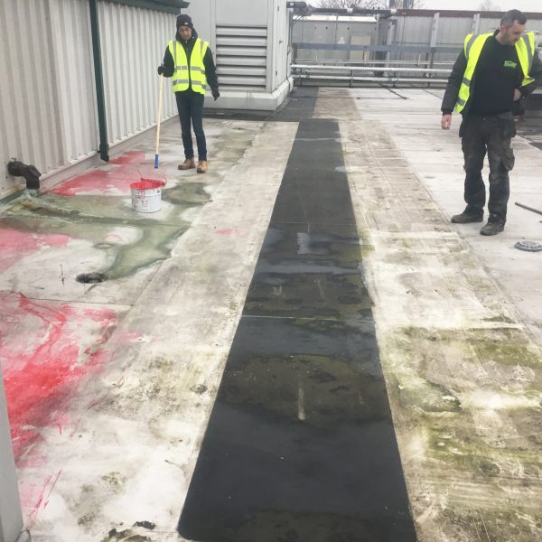 Photo 26 01 2017 09 36 36