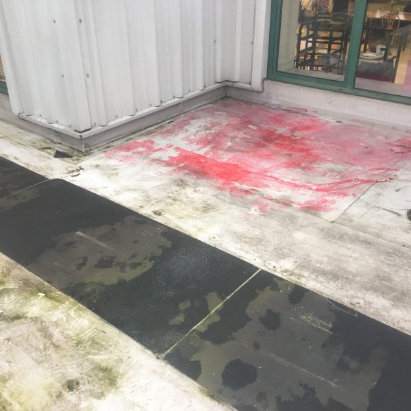 Photo 26 01 2017 09 36 44