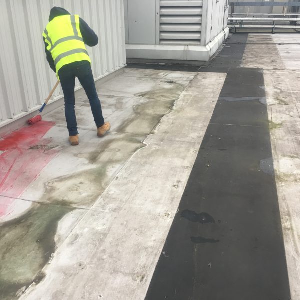 Photo 26 01 2017 09 36 47