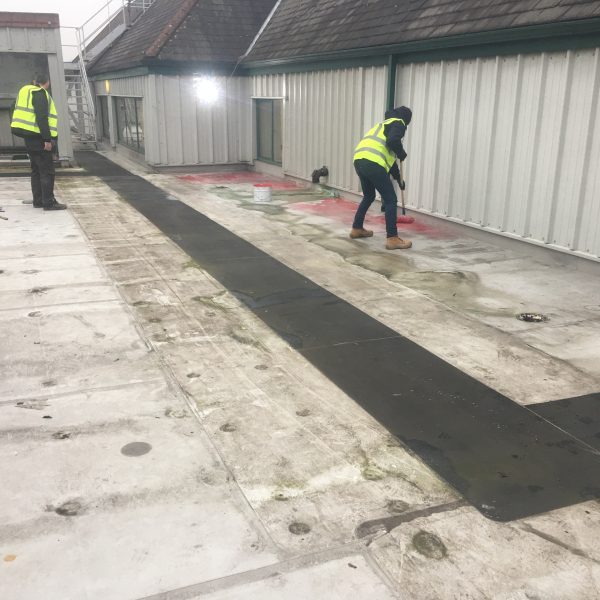 Photo 26 01 2017 09 37 00