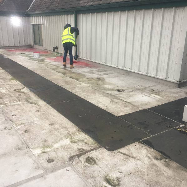 Photo 26 01 2017 09 37 01