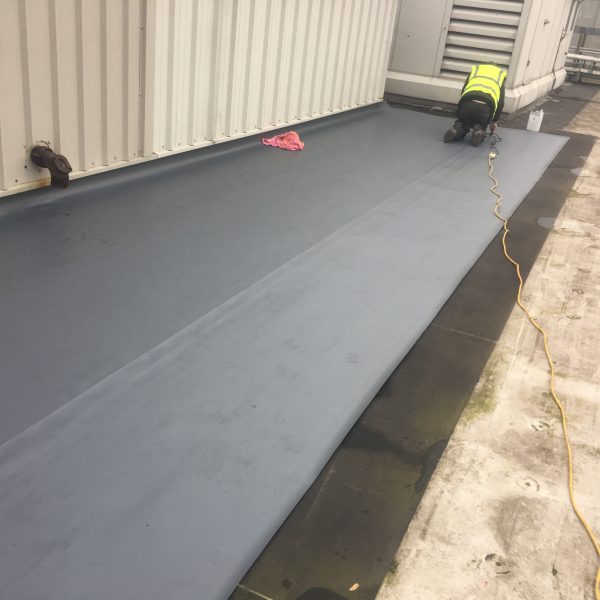 Photo 26 01 2017 11 31 59