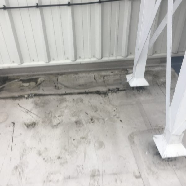 Photo 26 01 2017 13 29 58