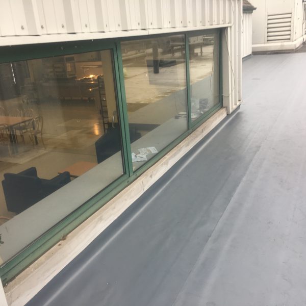 Photo 26 01 2017 15 01 34