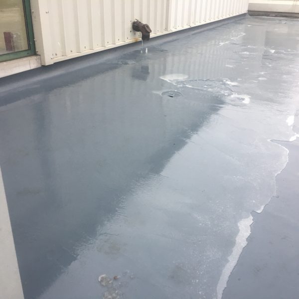 Photo 27 01 2017 08 48 19