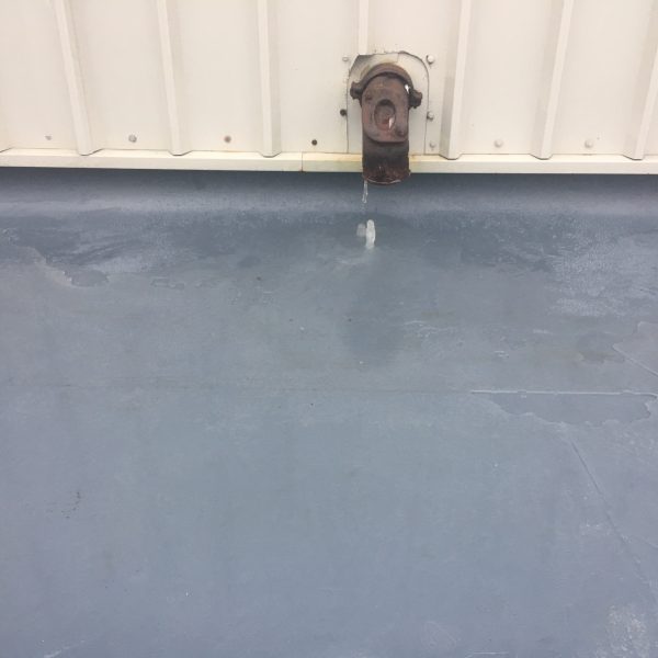 Photo 27 01 2017 08 48 30