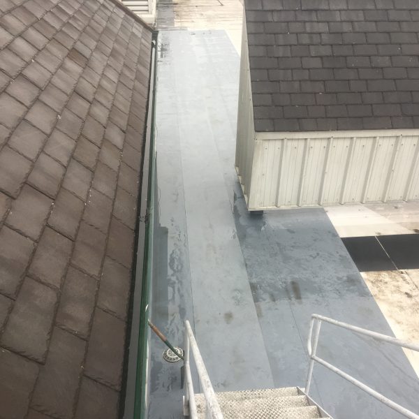 Photo 31 01 2017 14 40 10