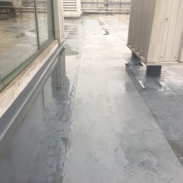 Photo 31 01 2017 14 40 19