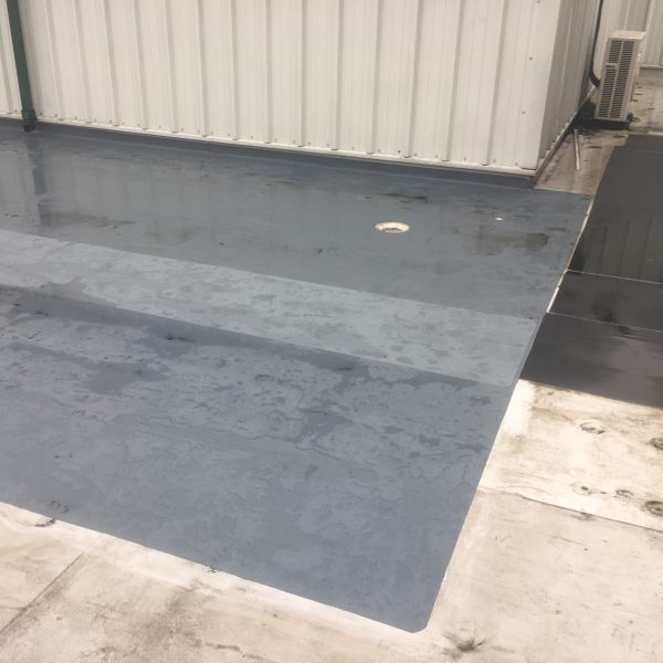 Photo 31 01 2017 14 40 43