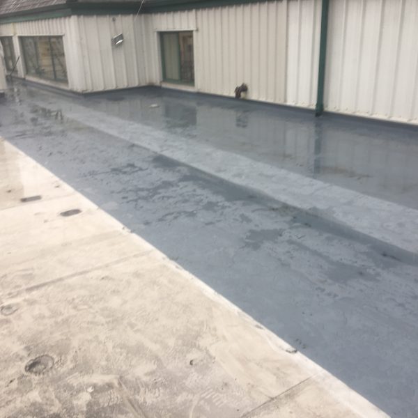 Photo 31 01 2017 14 40 45