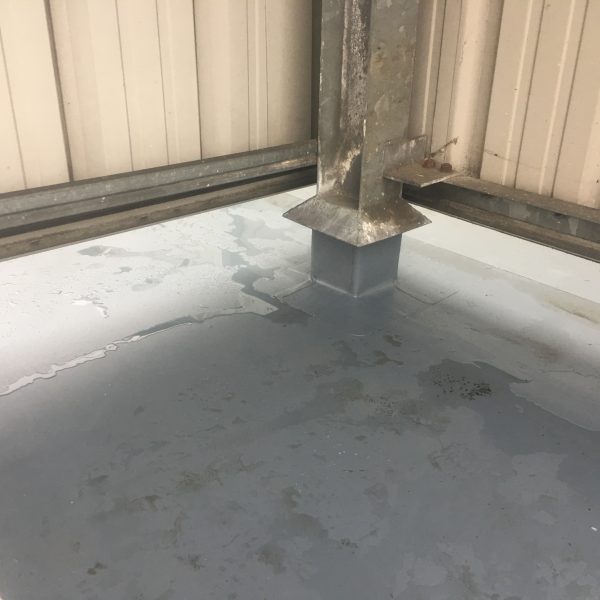 Photo 31 01 2017 14 41 01