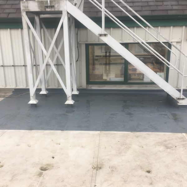 Photo 31 01 2017 14 41 19