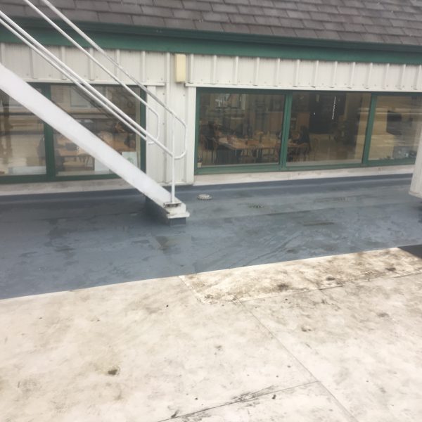 Photo 31 01 2017 14 41 20