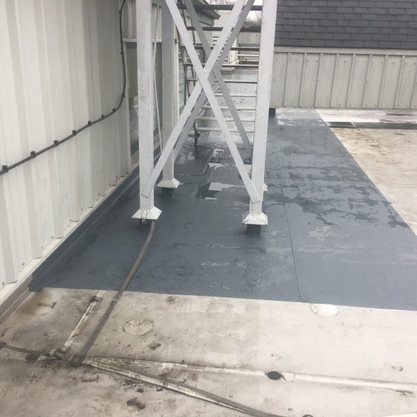 Photo 31 01 2017 14 41 43