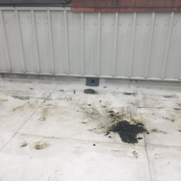 Photo 31 01 2017 14 42 04