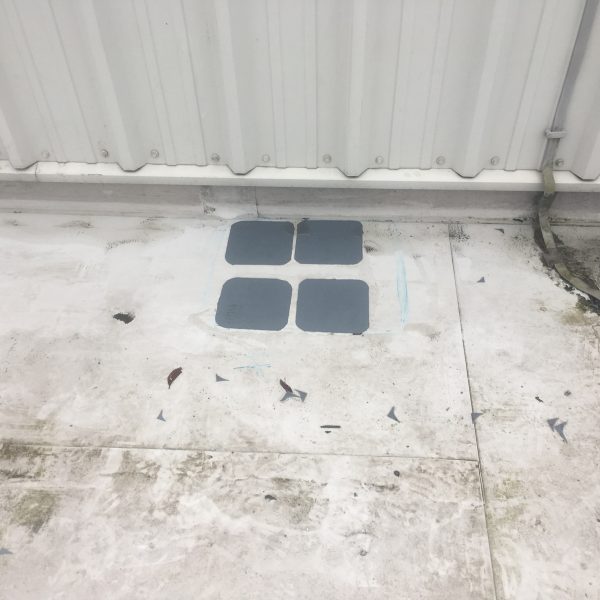 Photo 31 01 2017 14 42 18