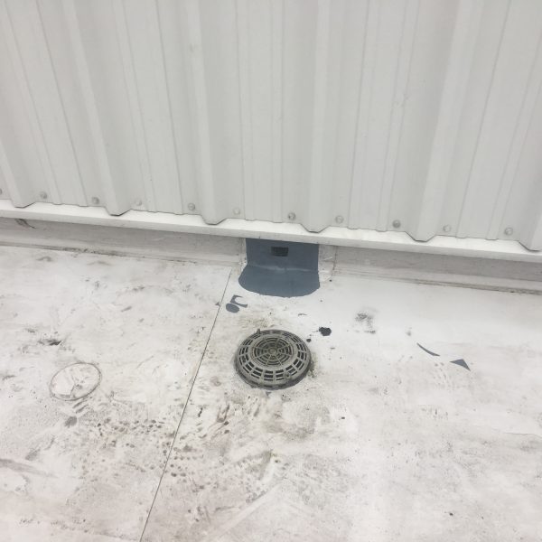 Photo 31 01 2017 14 42 23