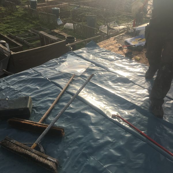 Photo 07 02 2017 15 07 13