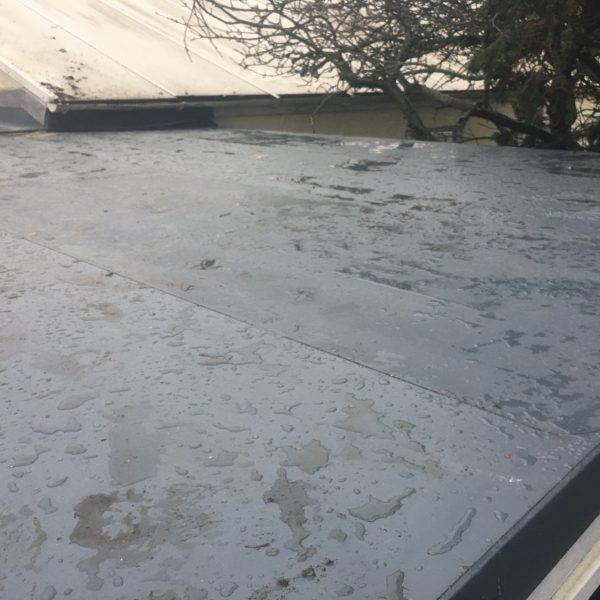 Photo 10 02 2017 15 52 19