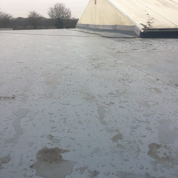 Photo 10 02 2017 15 52 22