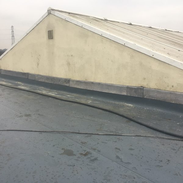 Photo 10 02 2017 15 52 52