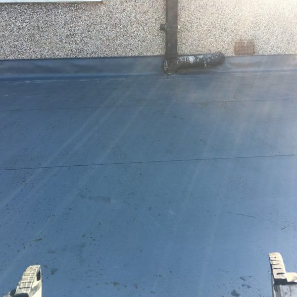 Photo 15 03 2017 11 43 25