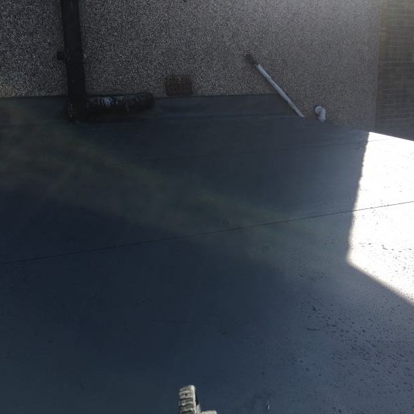 Photo 15 03 2017 11 43 27